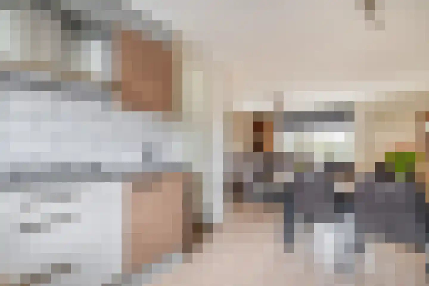 Doorzwin 5113 Julianadorp thumbnail 9