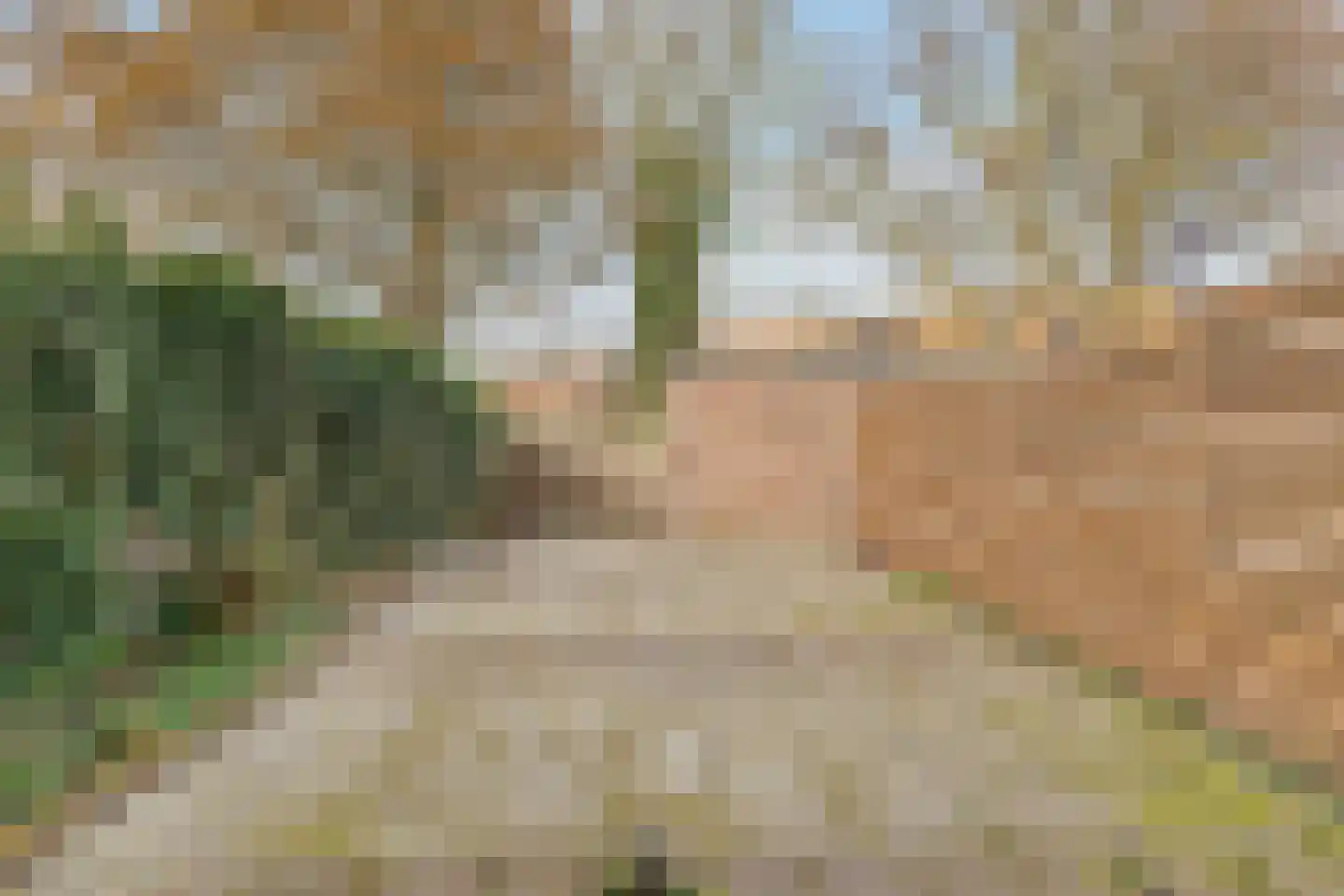 Doorzwin 5142 Julianadorp thumbnail 18