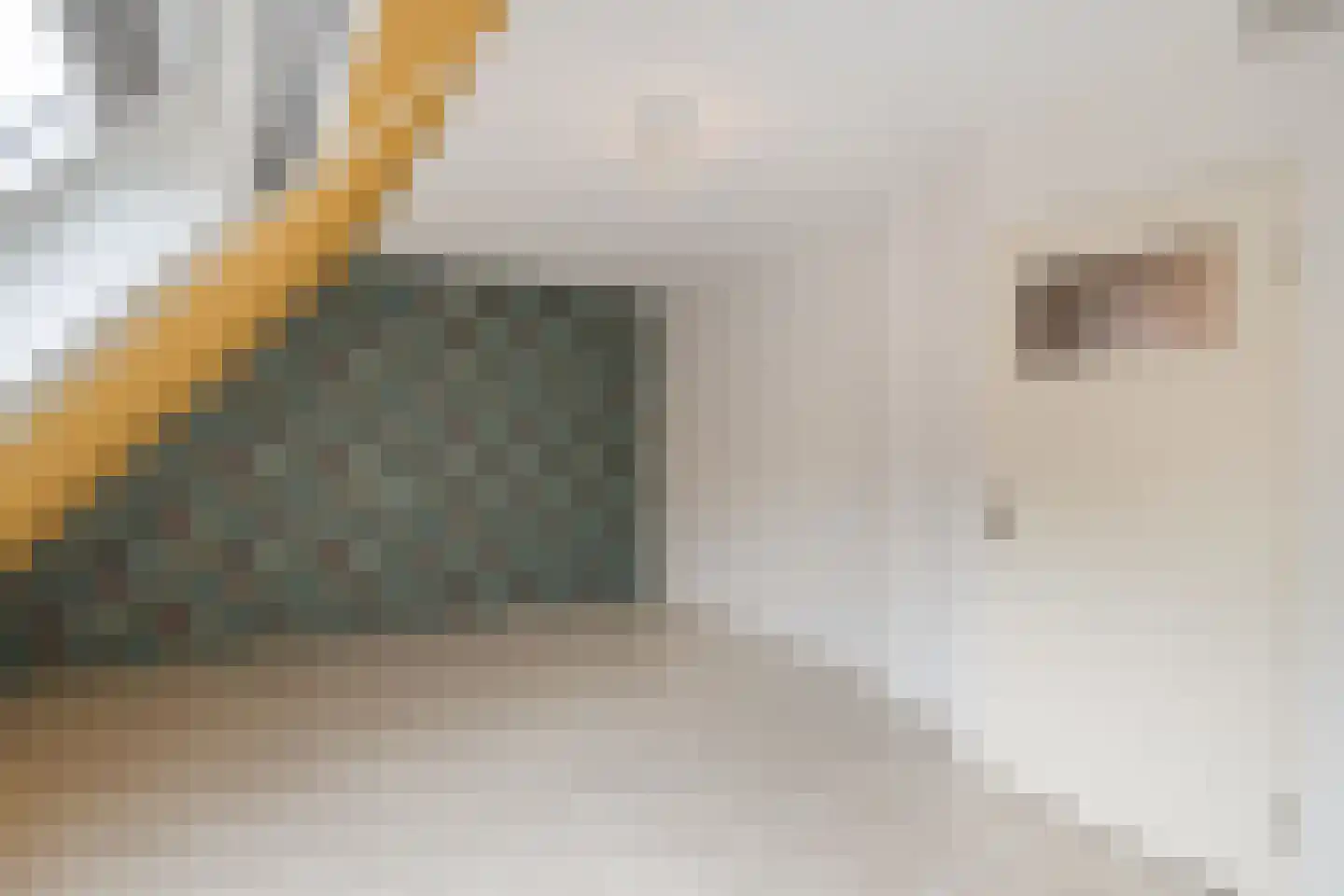 Doorzwin 5154 Julianadorp thumbnail 12