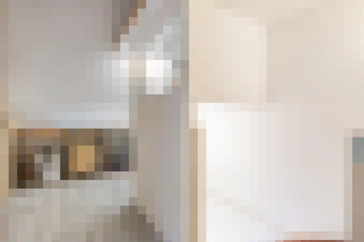 Doorzwin 5154 Julianadorp thumbnail 17