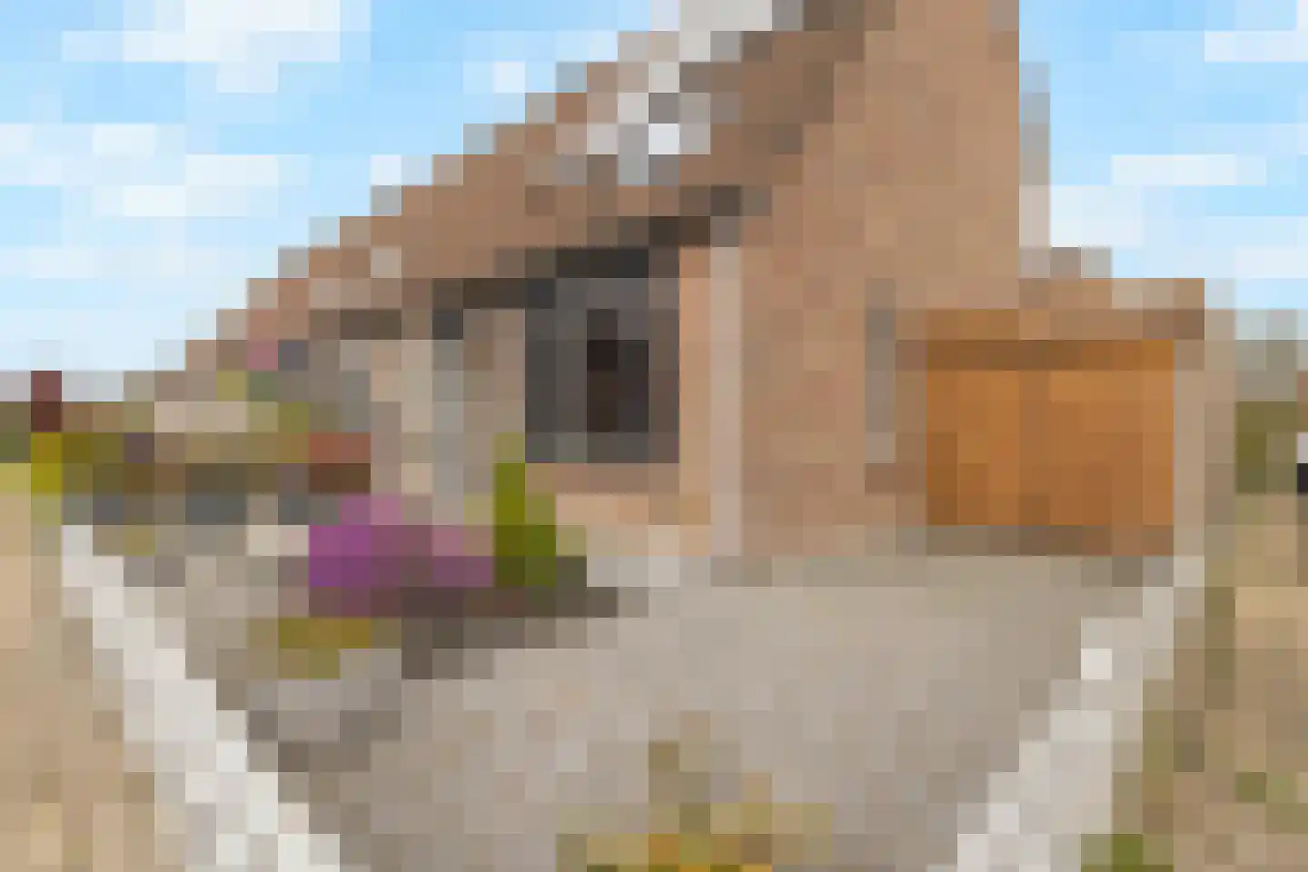 Doorzwin 5154 Julianadorp thumbnail 24
