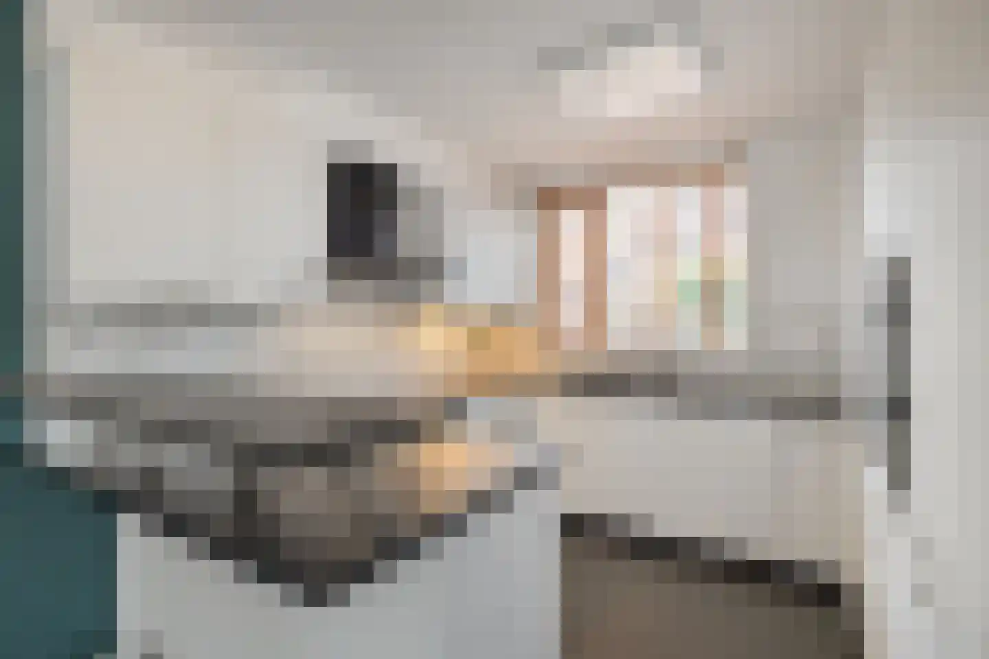 Doorzwin 5154 Julianadorp thumbnail 7
