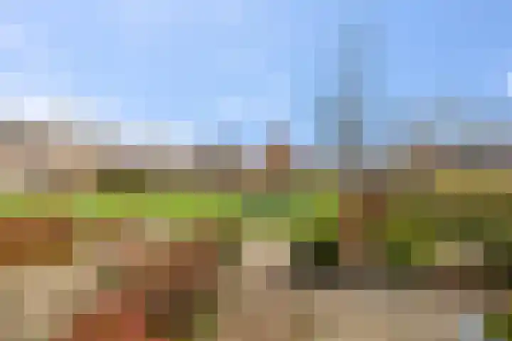 Doorzwin 5207 Julianadorp thumbnail 24