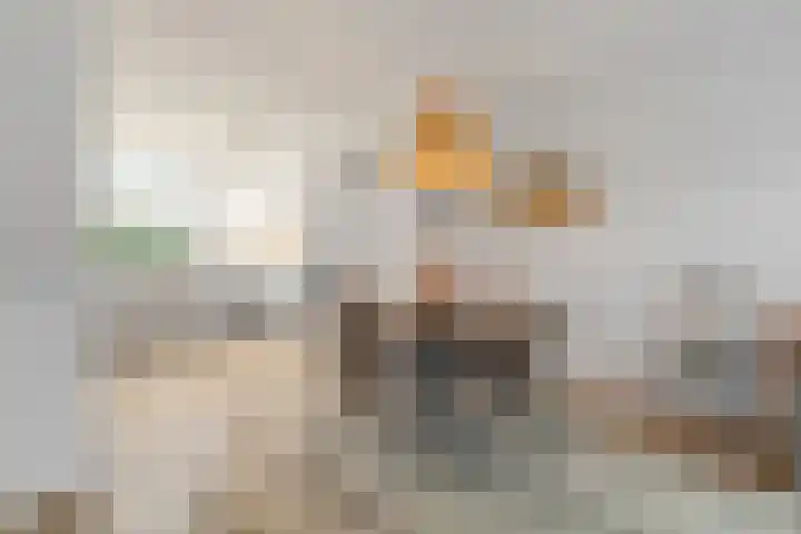 Doorzwin 5309 Julianadorp thumbnail 10