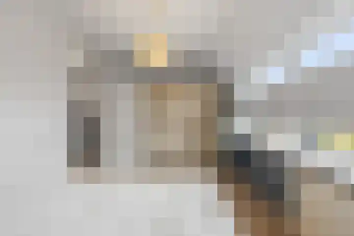 Doorzwin 5309 Julianadorp thumbnail 18
