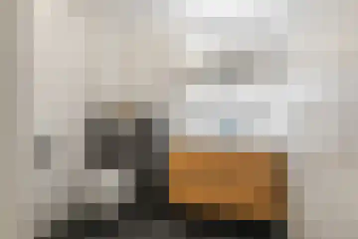 Doorzwin 5309 Julianadorp thumbnail 21