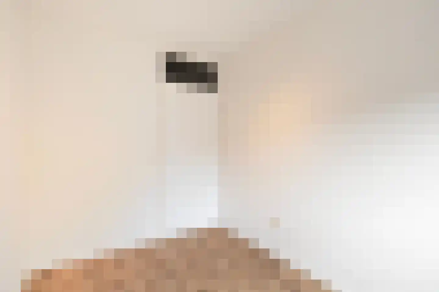 Doorzwin 5313 Julianadorp thumbnail 18