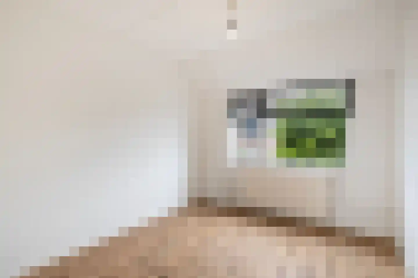 Doorzwin 5313 Julianadorp thumbnail 19