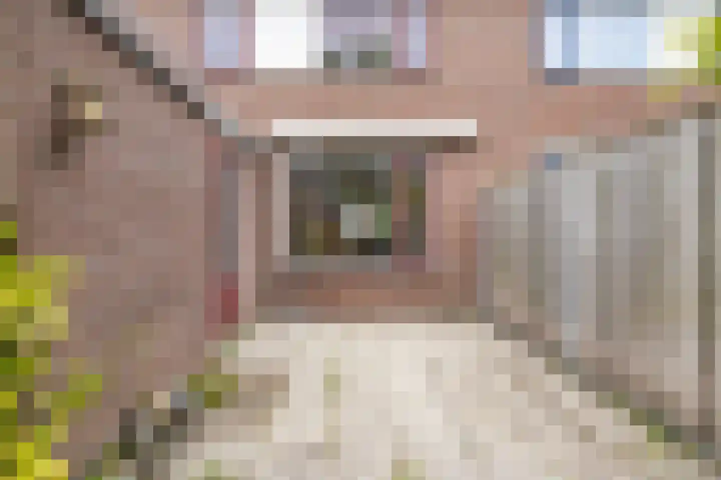 Doorzwin 5313 Julianadorp thumbnail 27