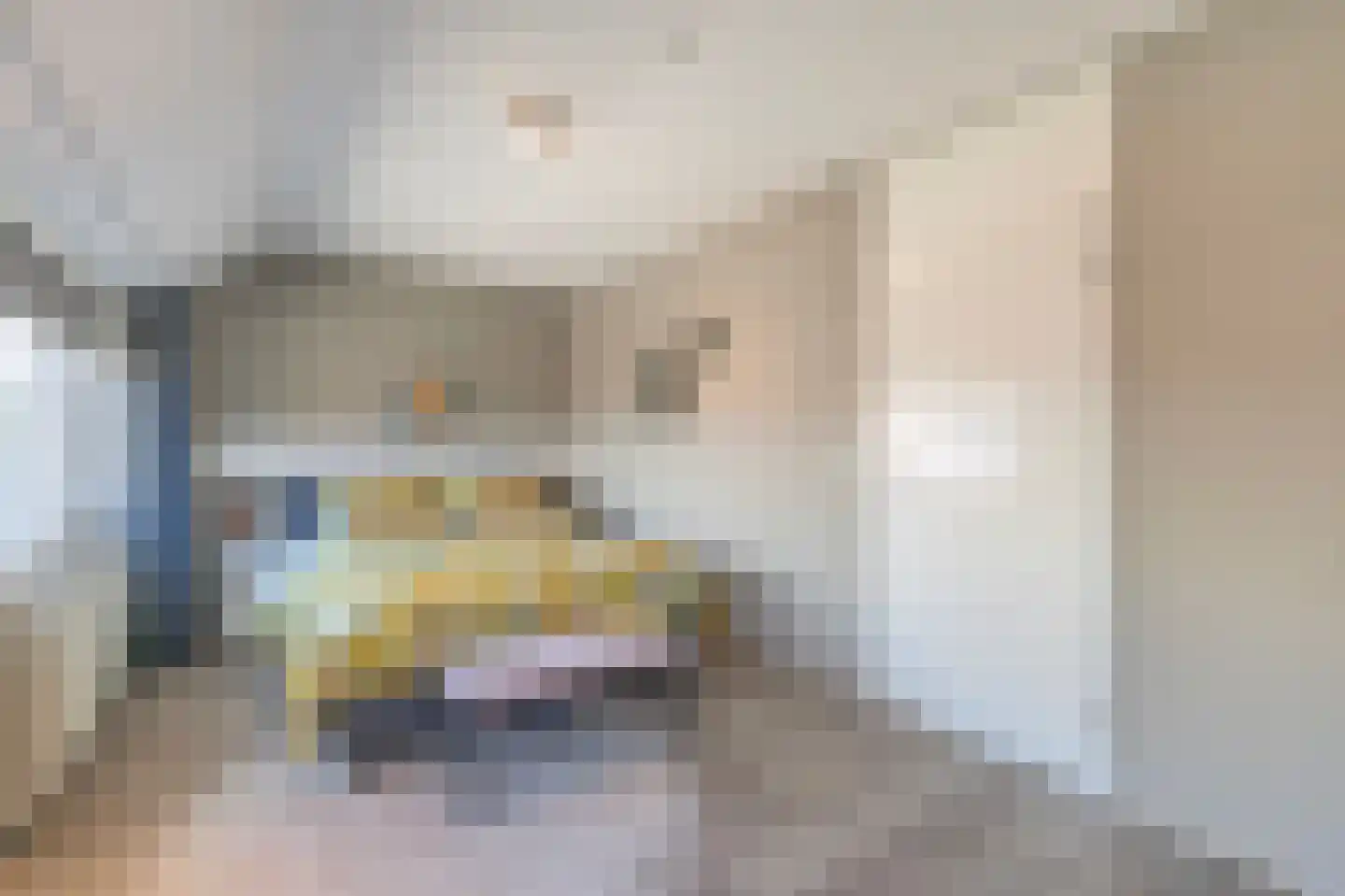 Doorzwin 5347 Julianadorp thumbnail 15