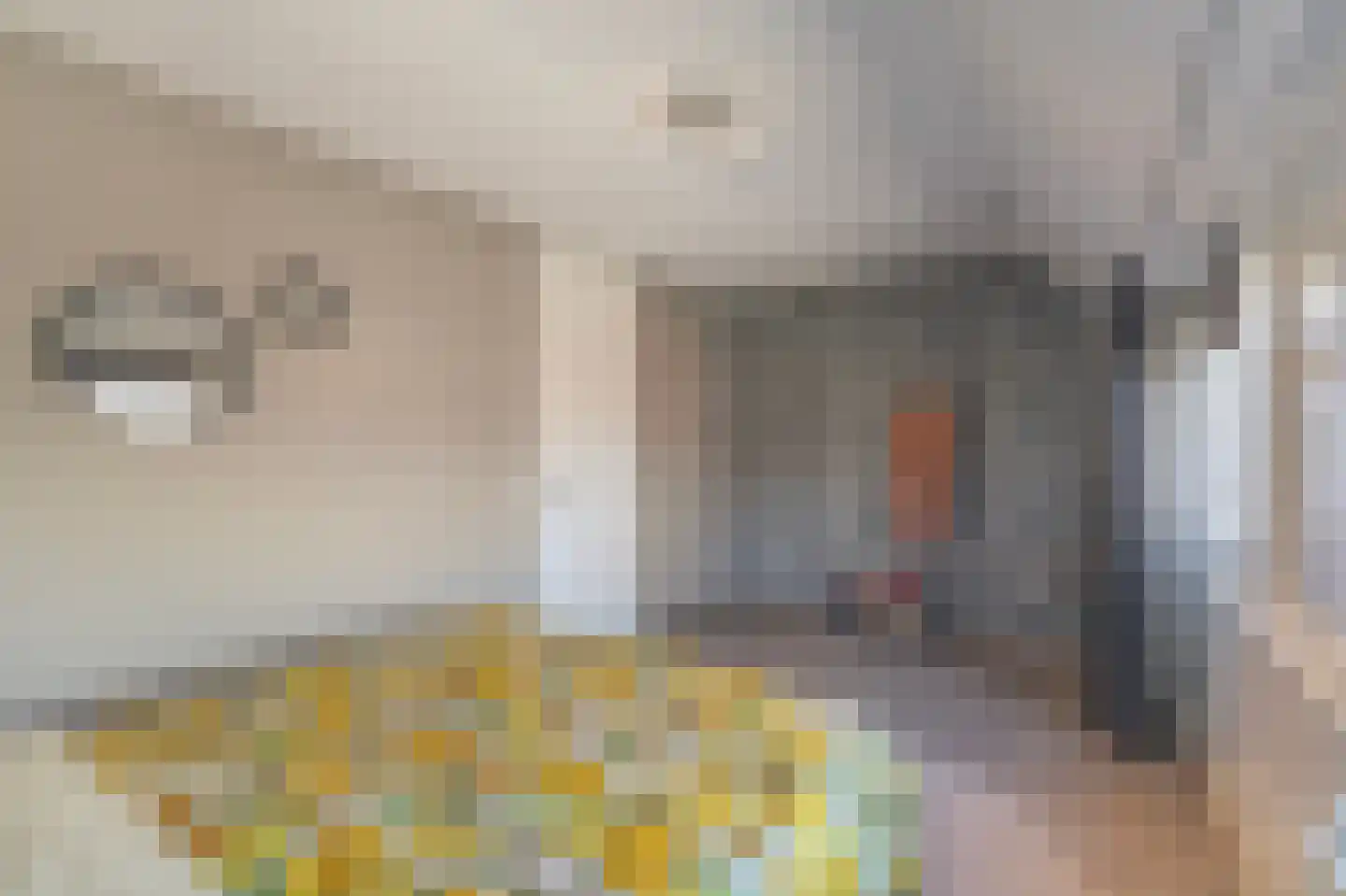 Doorzwin 5347 Julianadorp thumbnail 16