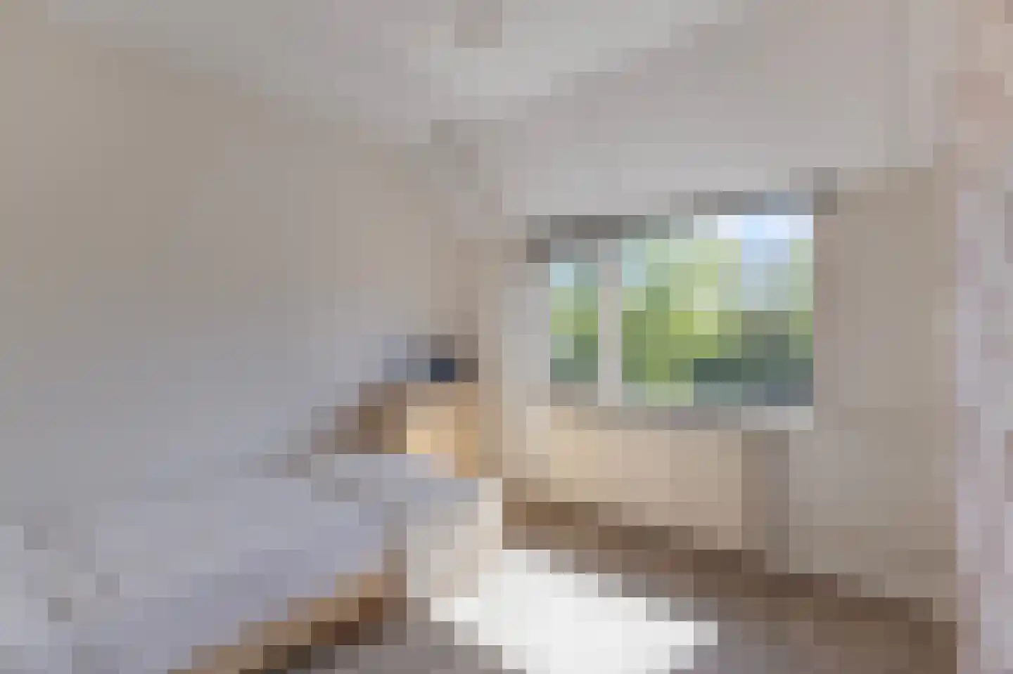 Doorzwin 5347 Julianadorp thumbnail 17
