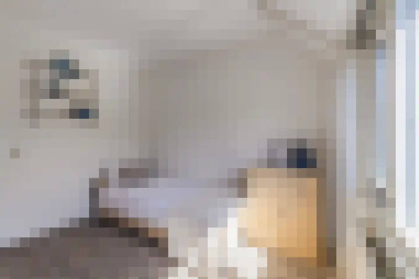Doorzwin 5347 Julianadorp thumbnail 18