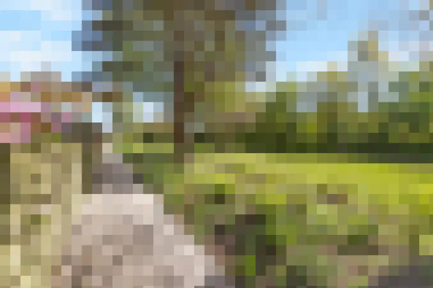 Doorzwin 5347 Julianadorp thumbnail 35