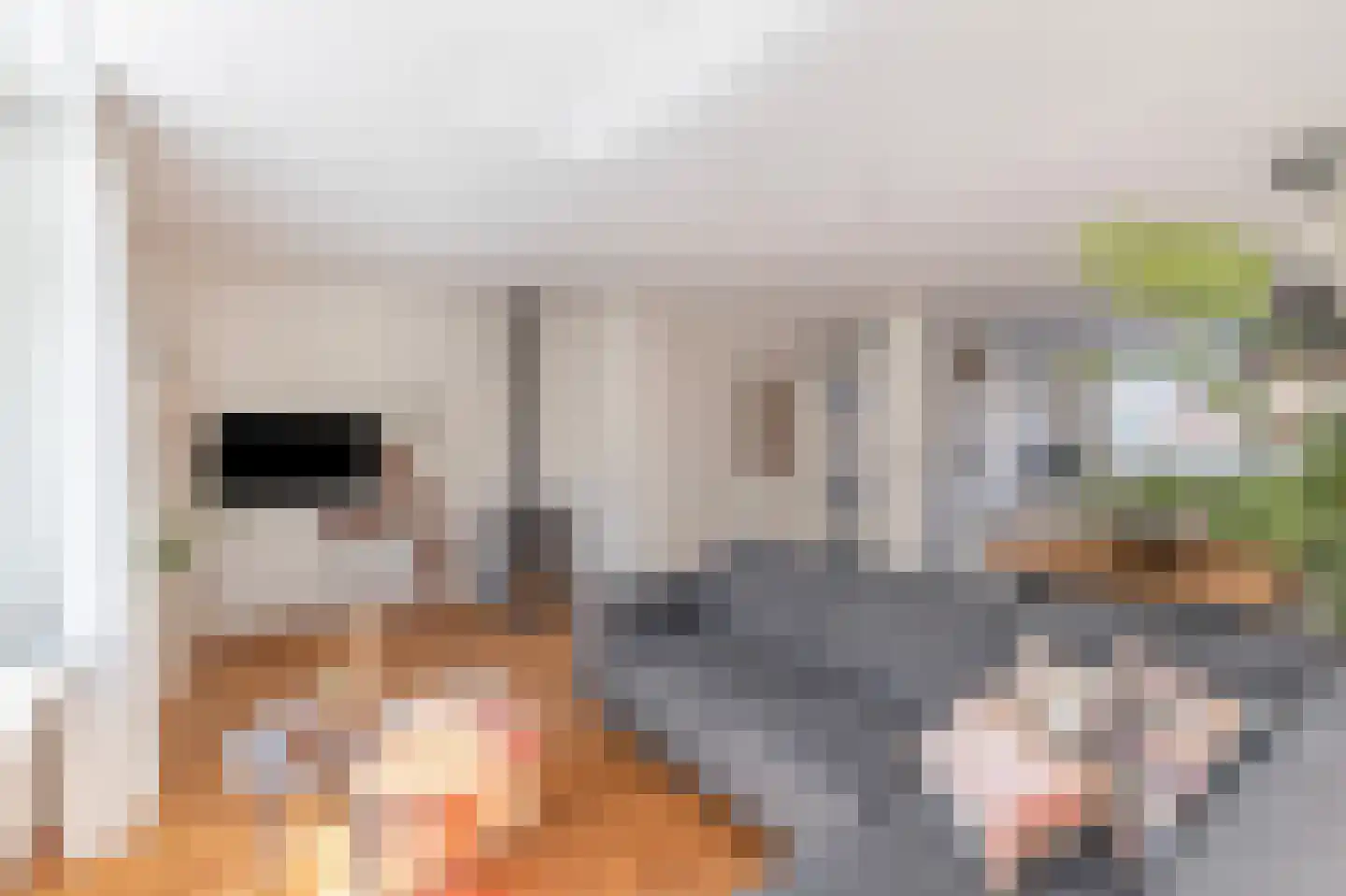 Doorzwin 5347 Julianadorp thumbnail 7