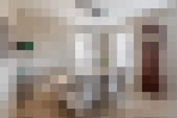 Dophamer 38 Best thumbnail 14