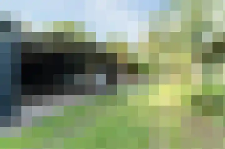 Dophamer 38 Best thumbnail 25