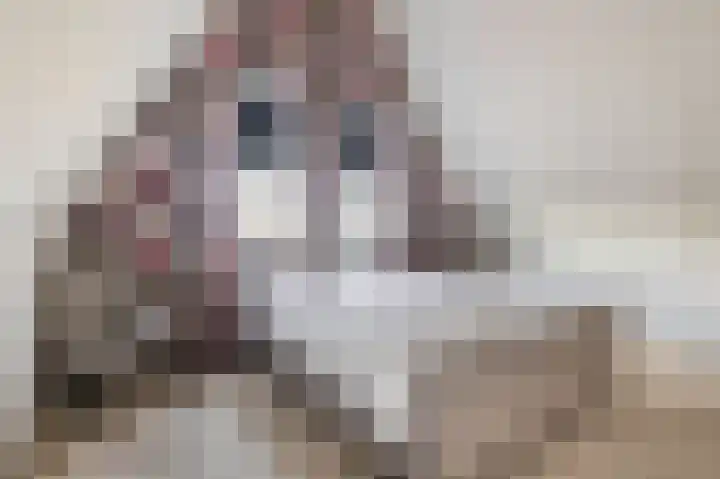 Dophamer 38 Best thumbnail 36