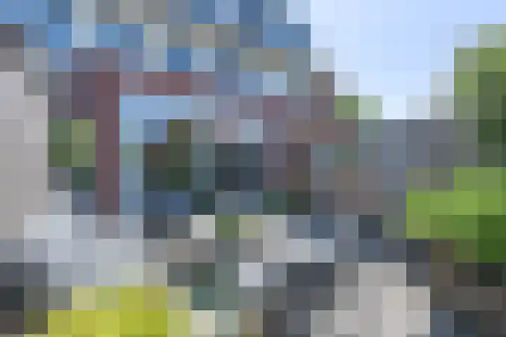 Dophamer 38 Best thumbnail 38
