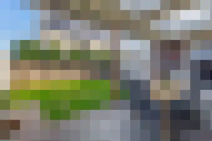 Dophamer 38 Best thumbnail 39