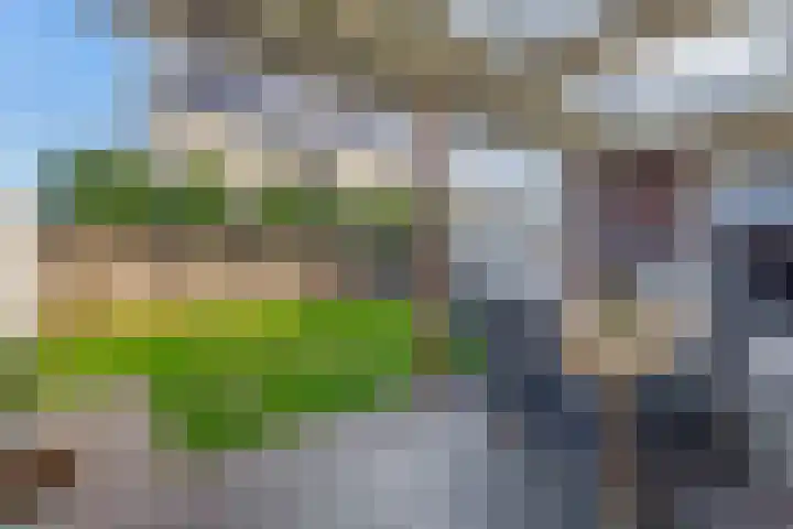 Dophamer 38 Best thumbnail 4