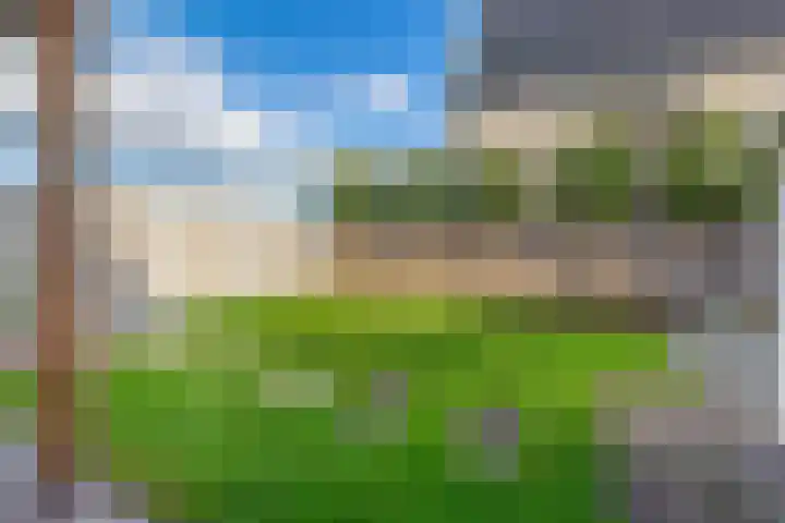 Dophamer 38 Best thumbnail 40