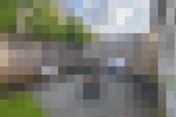 Dophamer 38 Best thumbnail 42
