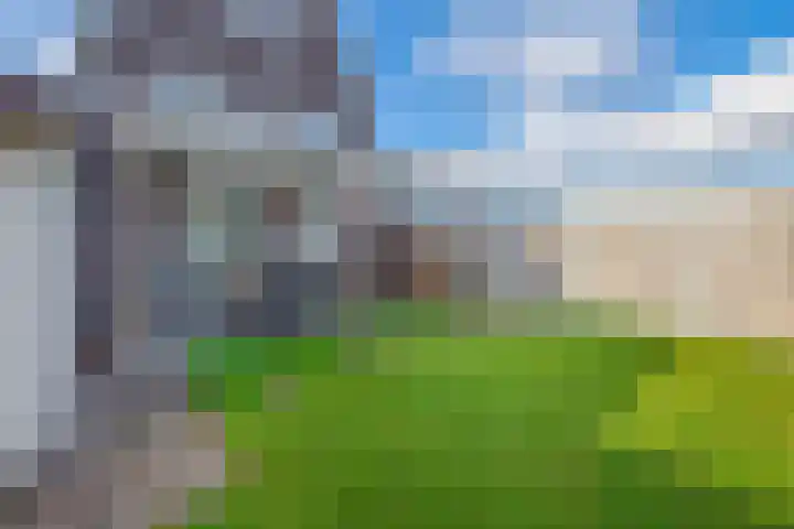 Dophamer 38 Best thumbnail 43