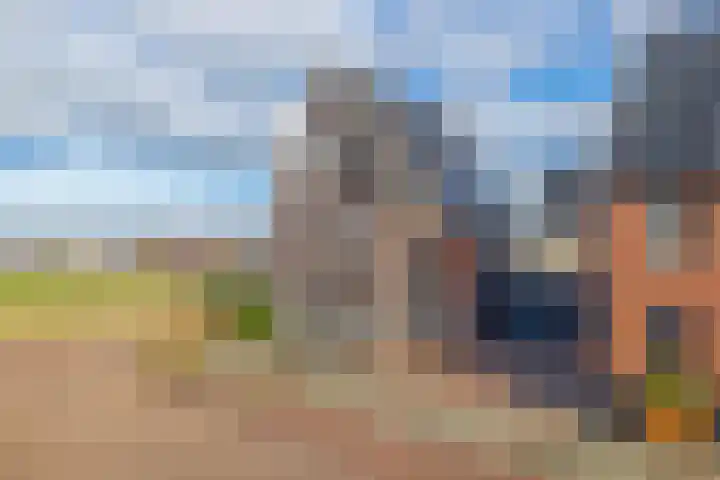 Dophamer 38 Best thumbnail 48