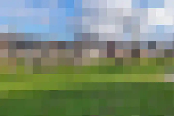 Dophamer 38 Best thumbnail 50