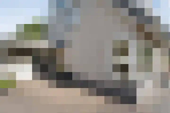Dopheide 11 Steenwijk thumbnail 10