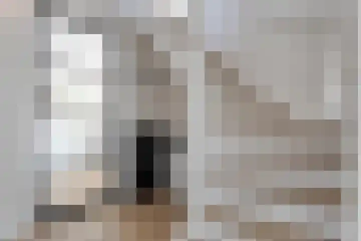 Dopheide 11 Steenwijk thumbnail 12