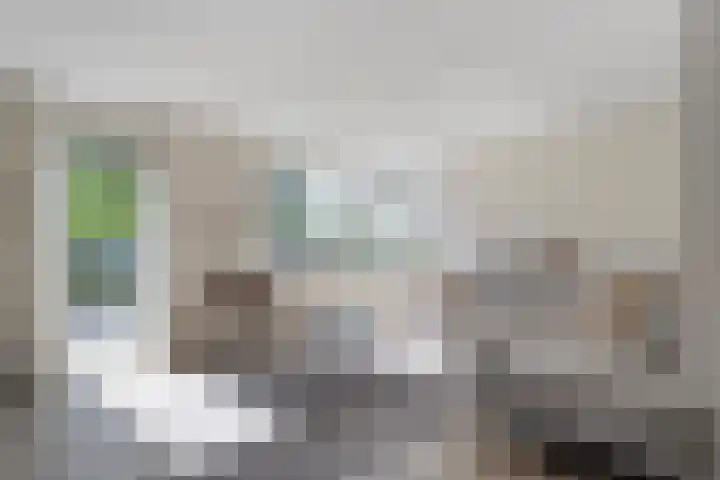 Dopheide 11 Steenwijk thumbnail 13