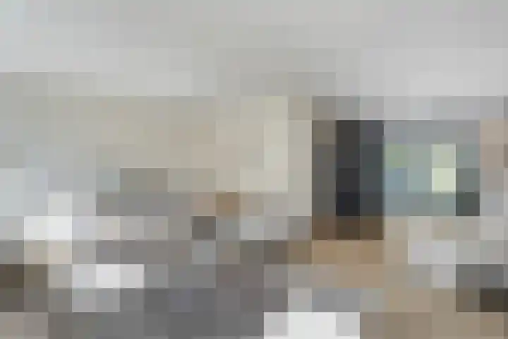 Dopheide 11 Steenwijk thumbnail 14