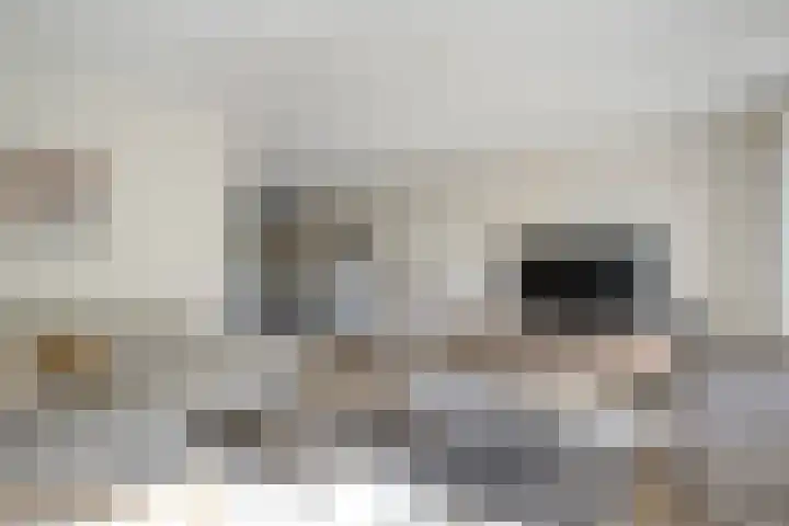 Dopheide 11 Steenwijk thumbnail 15