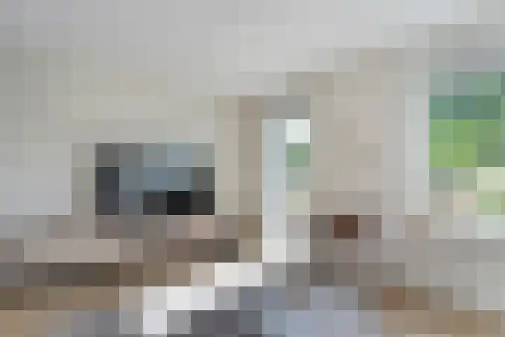 Dopheide 11 Steenwijk thumbnail 16
