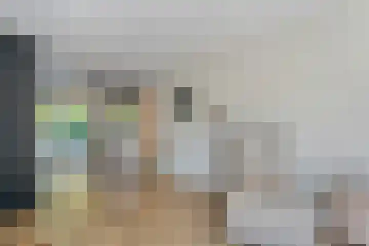 Dopheide 11 Steenwijk thumbnail 17