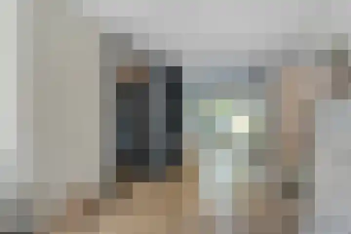 Dopheide 11 Steenwijk thumbnail 18