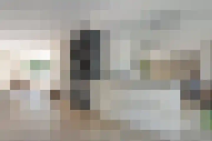 Dopheide 11 Steenwijk thumbnail 19