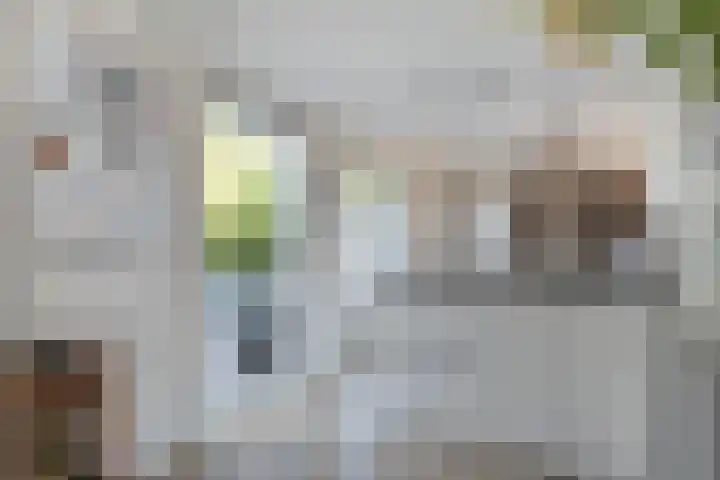 Dopheide 11 Steenwijk thumbnail 21