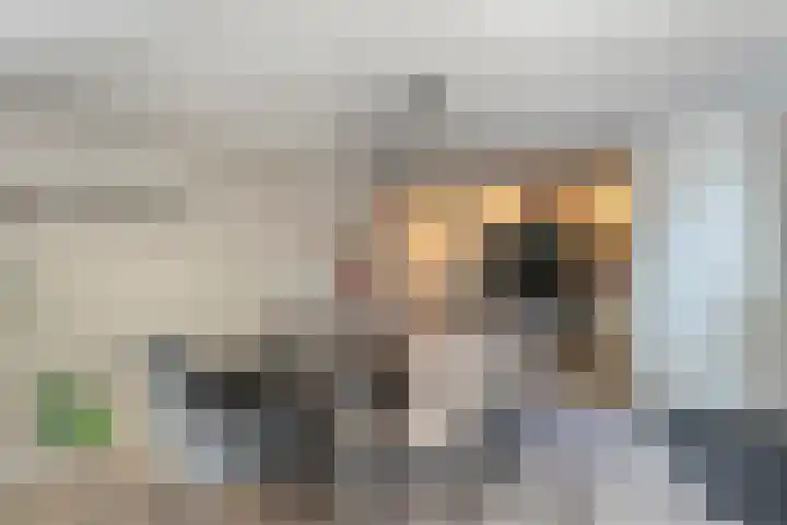 Dopheide 11 Steenwijk thumbnail 22