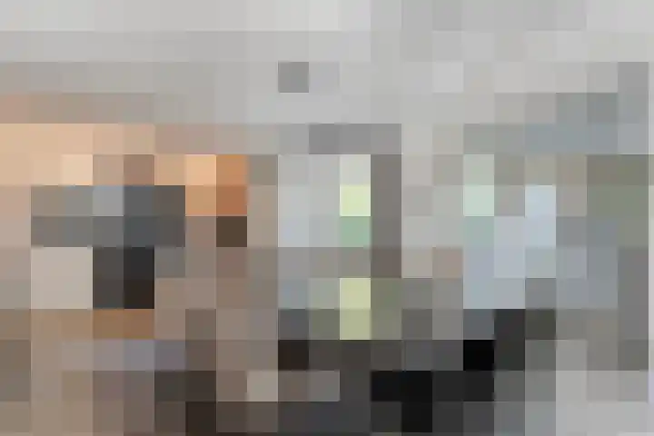 Dopheide 11 Steenwijk thumbnail 23