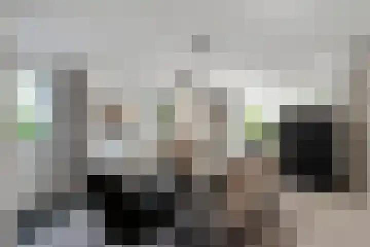 Dopheide 11 Steenwijk thumbnail 24