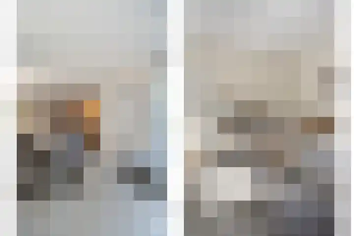 Dopheide 11 Steenwijk thumbnail 26
