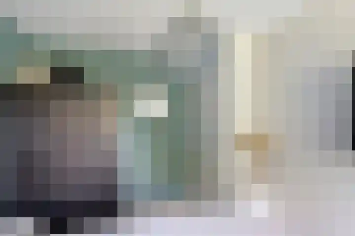 Dopheide 11 Steenwijk thumbnail 29