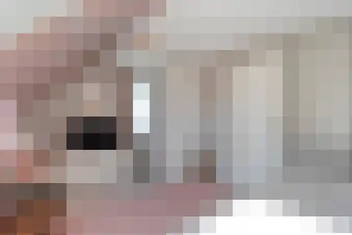 Dopheide 11 Steenwijk thumbnail 31