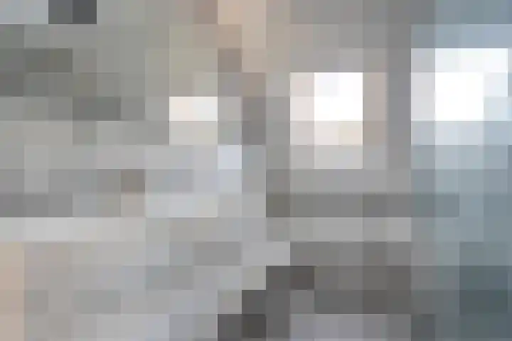 Dopheide 11 Steenwijk thumbnail 32