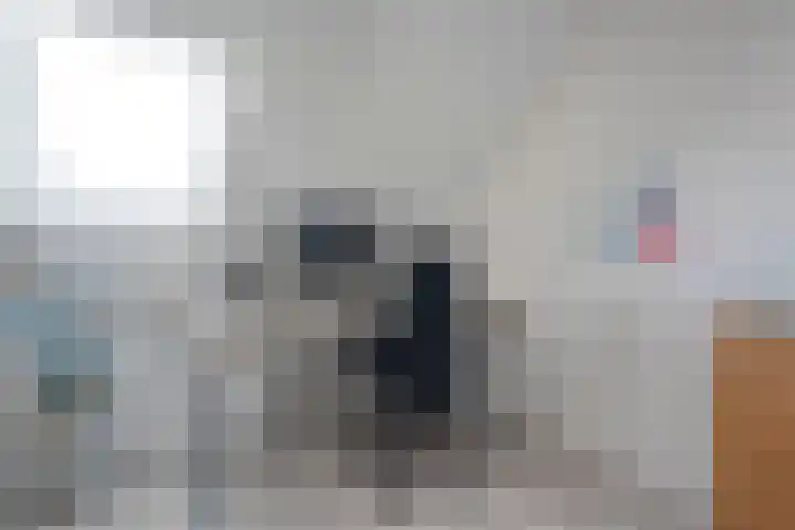 Dopheide 11 Steenwijk thumbnail 36