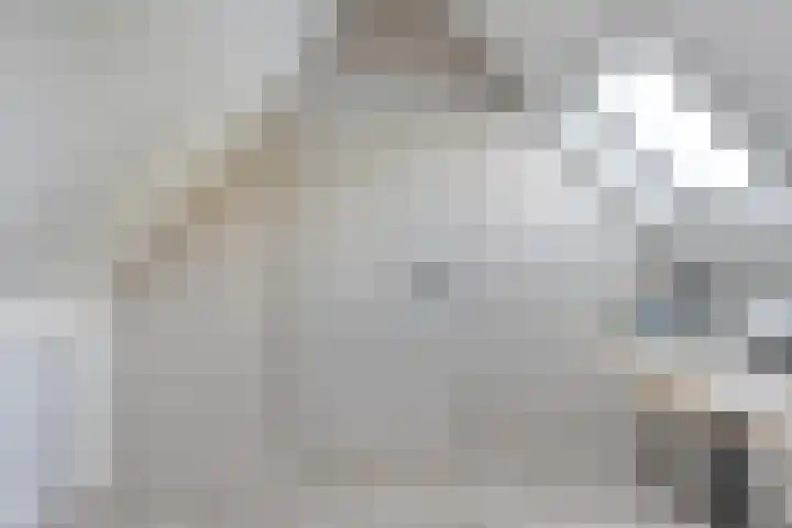 Dopheide 11 Steenwijk thumbnail 37