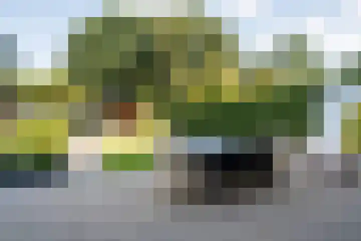 Dopheide 11 Steenwijk thumbnail 38